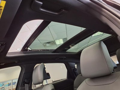 2023 Kia Sportage X-Pro
