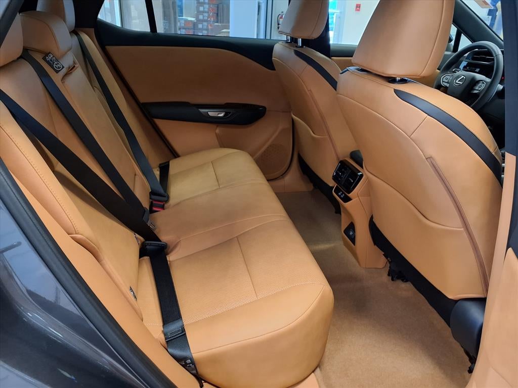 2024 Lexus RZ 450e 450e Luxury