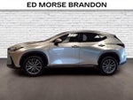 2023 Lexus NX 250 250 Base