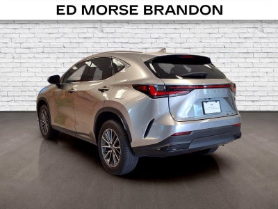 2023 Lexus NX 250 250 Base