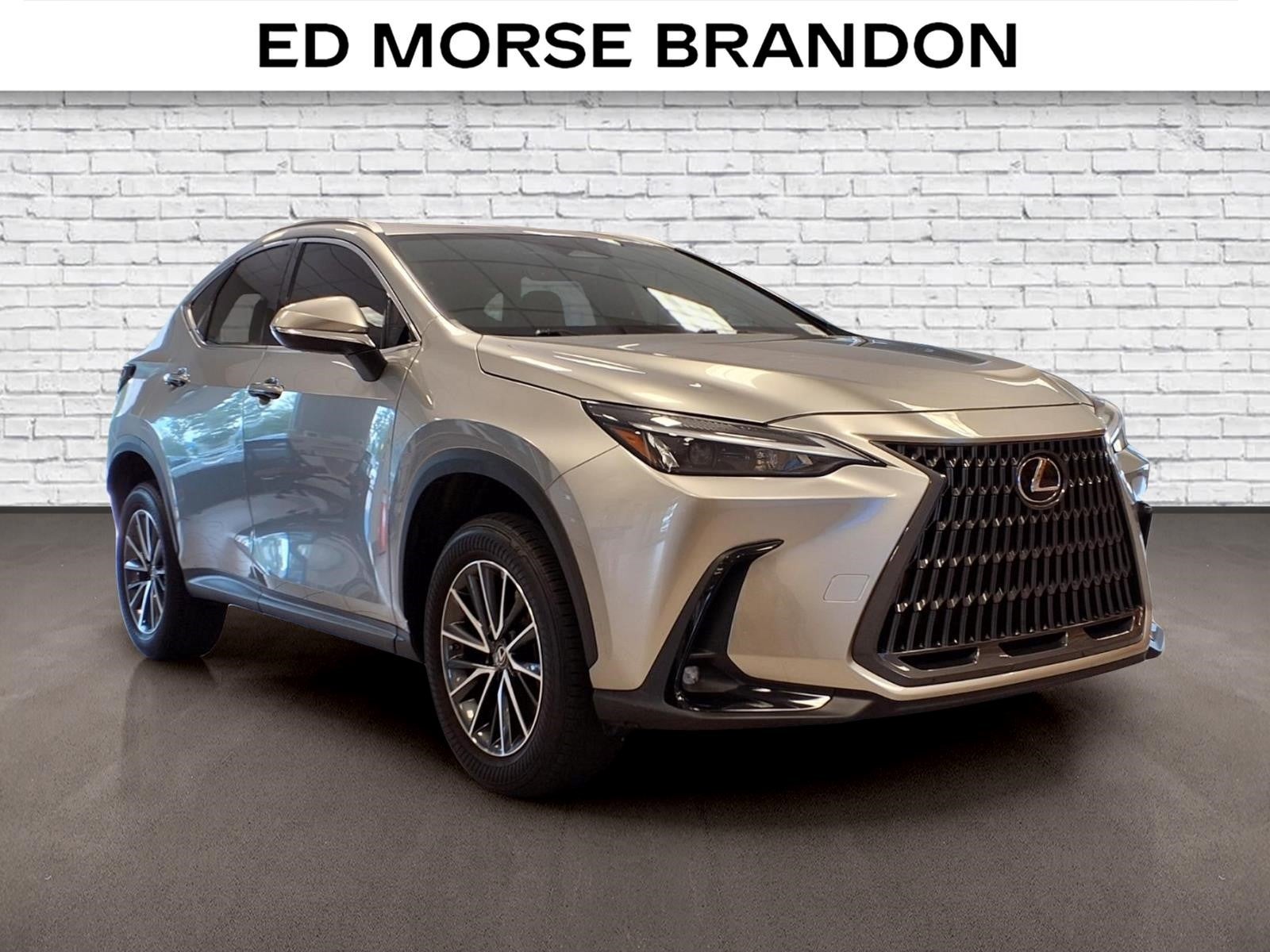2023 Lexus NX 250 250 Base